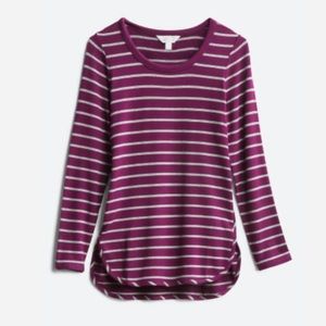 Market & Spruce - Stitch Fix
Zansia Curved Hem French Terry Knit Top